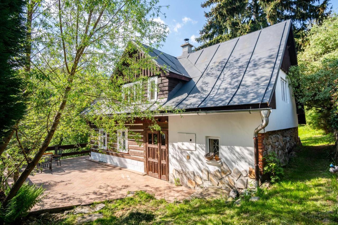 Roubenka Mustelka Apartment Rokytnice nad Jizerou Exterior photo