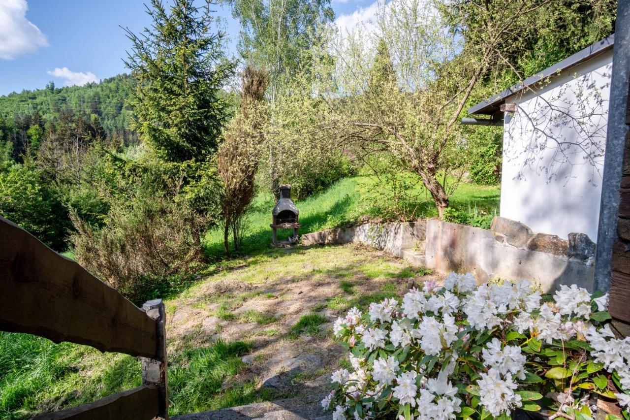 Roubenka Mustelka Apartment Rokytnice nad Jizerou Exterior photo